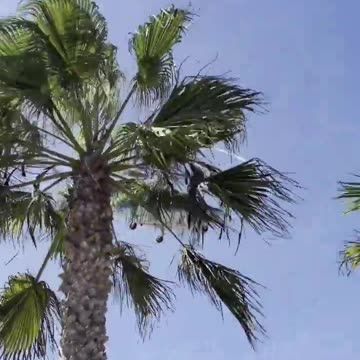 Man nearly hit by helicopter during crash near Los Angeles