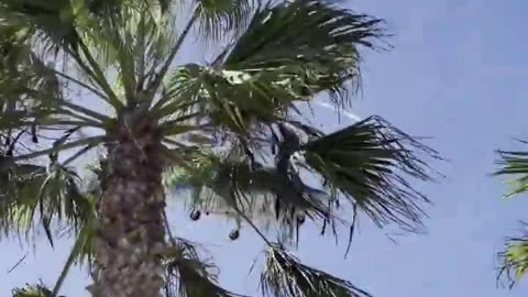 Man nearly hit by helicopter during crash near Los Angeles