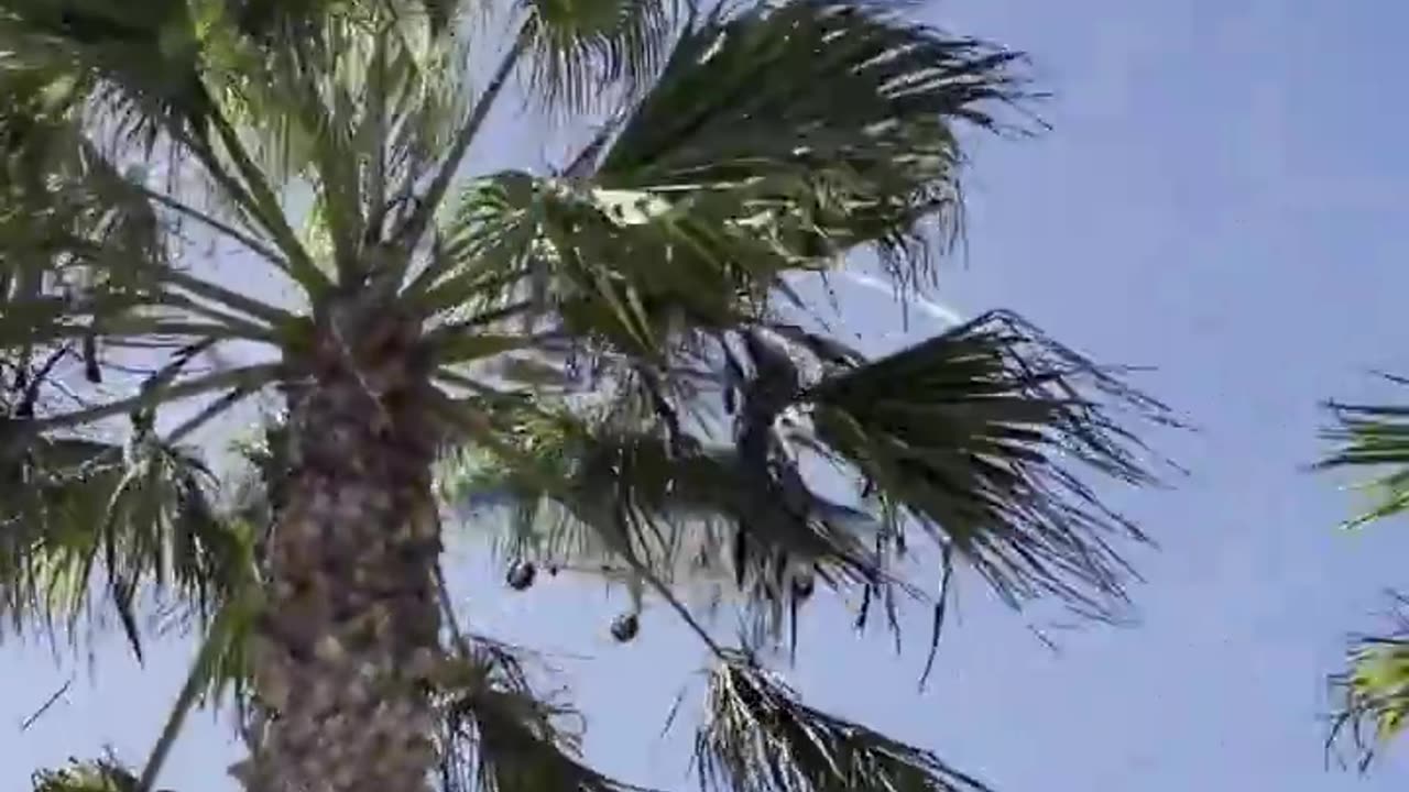 Man nearly hit by helicopter during crash near Los Angeles