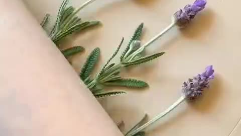 Using different plants to create ceramics 😇