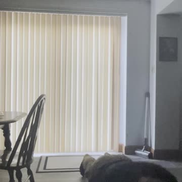 Exercising Everyday till I'm fit Day 40 #exercise #fitness