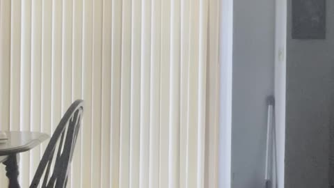 Exercising Everyday till I'm fit Day 40 #exercise #fitness