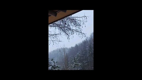 한국 양평 시골 음성 입력 사진 입력 Snowy Yangpyeong Countryside, Korea