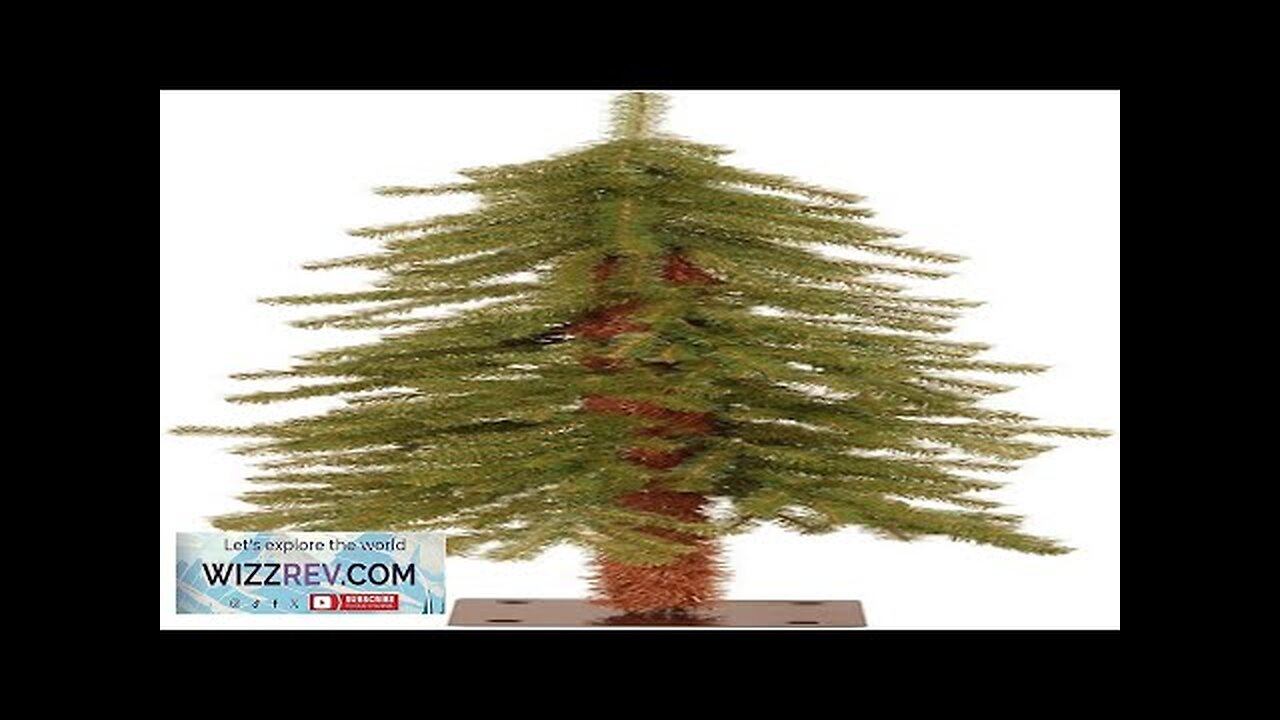 National Tree Hickory Cedar Tree 4 ft Green Review