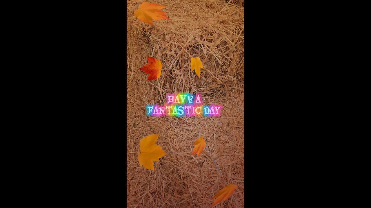 Greetings and let's have a fantastic day 😊😊