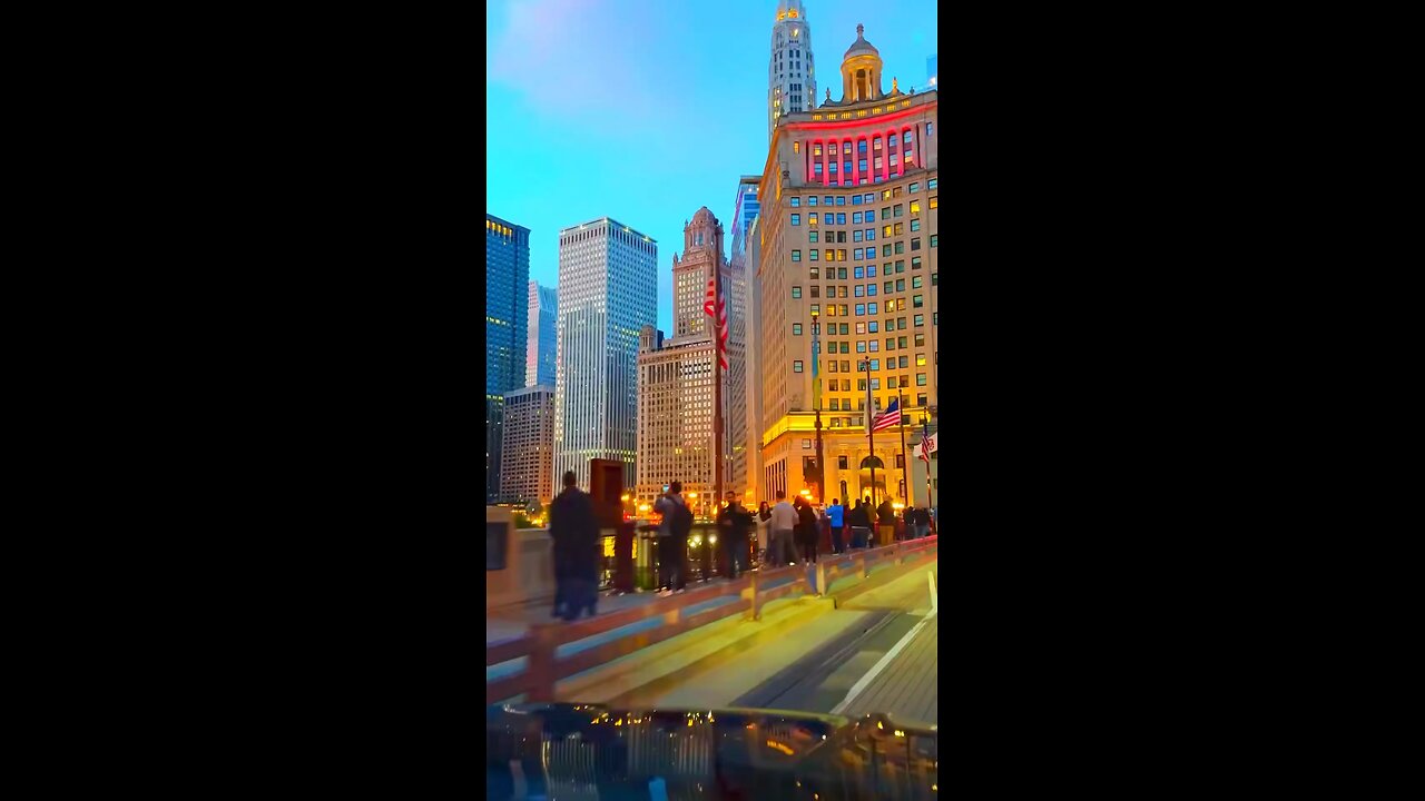 usa city vive