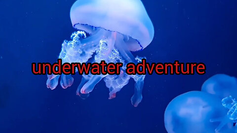 underwater adventure