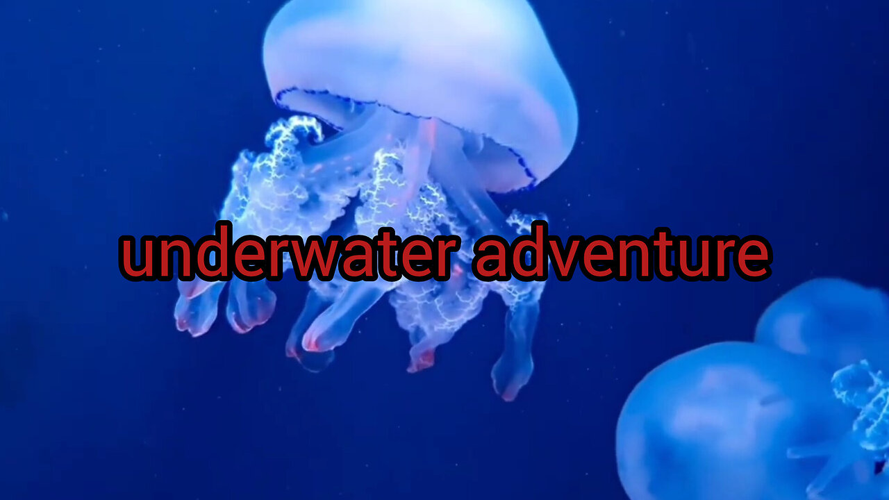 underwater adventure