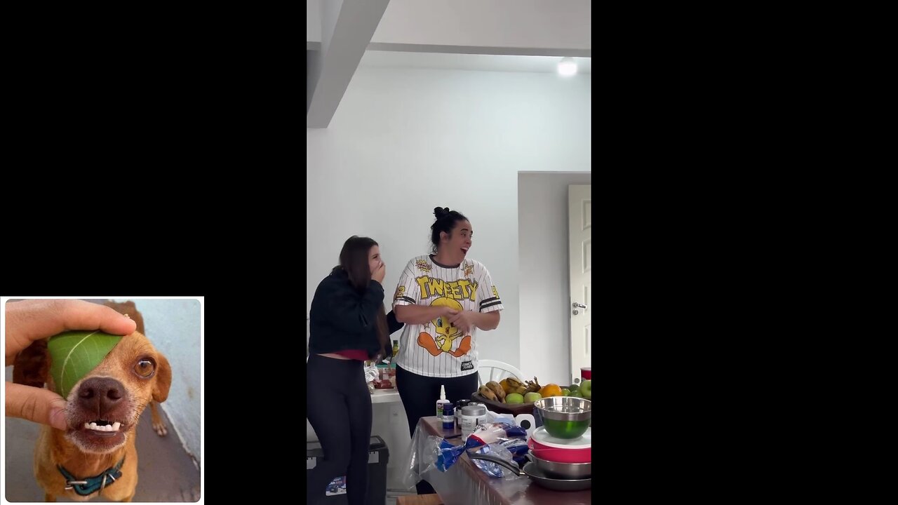 Funny videos compilation 33