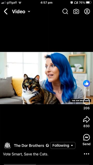 The Dor Brothers ; AI made : Trump saving cats