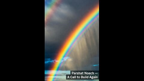 Parshat Noach: In the Days of Noach...and Now!