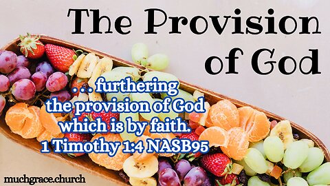 The Provision of God (2) : God Gives GOOD Things