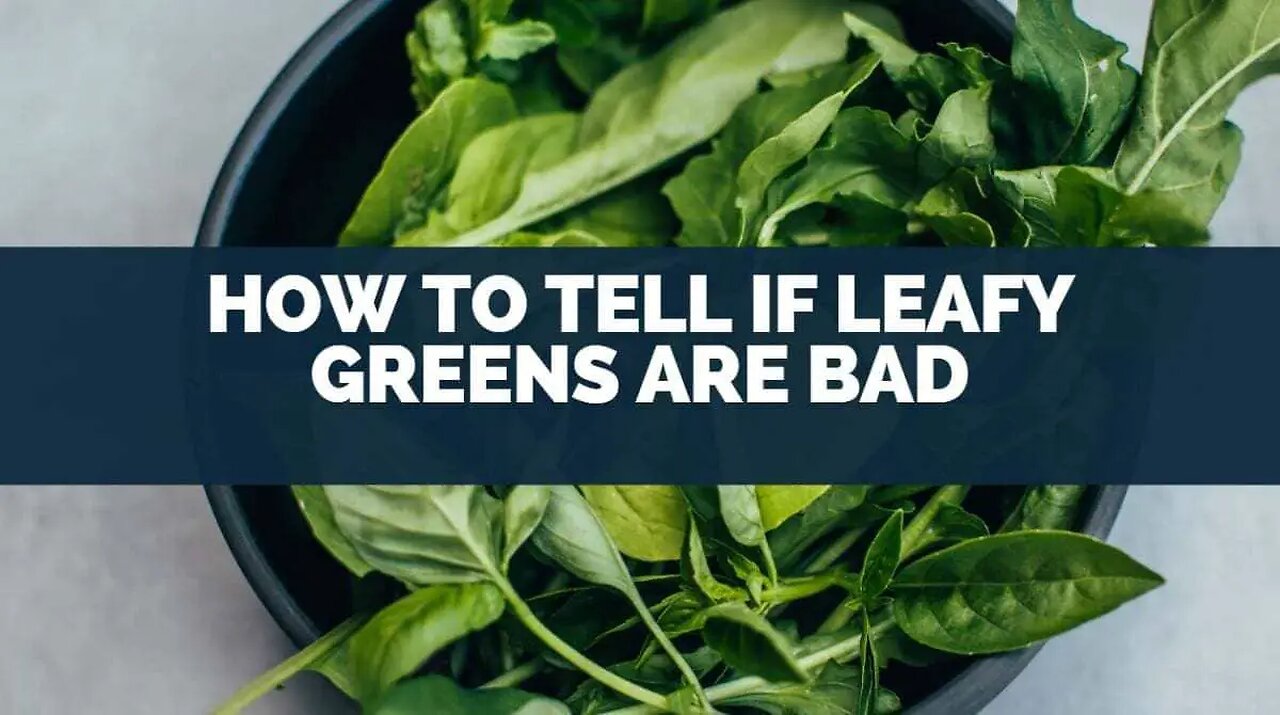 A Superfood You Need to Know About! #mustardgreens #superfood #healthygreens