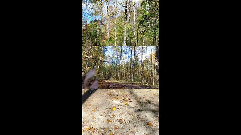 Not out of the woods yet