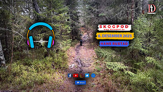 Skogpod 6. desember 2025