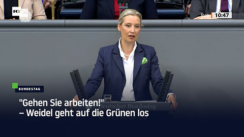 "Gehen Sie arbeiten!" – Weidel geht auf die Grünen los