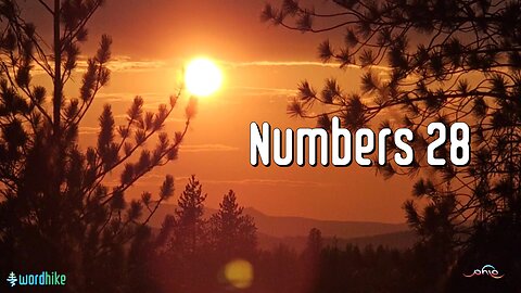 Numbers 28, Bible Reading in Nature, BSB