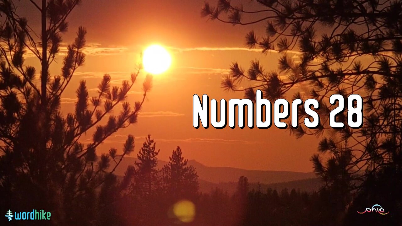 Numbers 28, Bible Reading in Nature, BSB