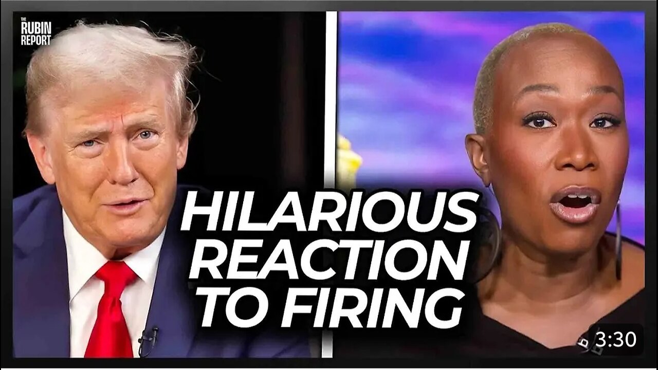 MSNBC Host Humiliated as Trump Has a Hilarious Response to Her Firing