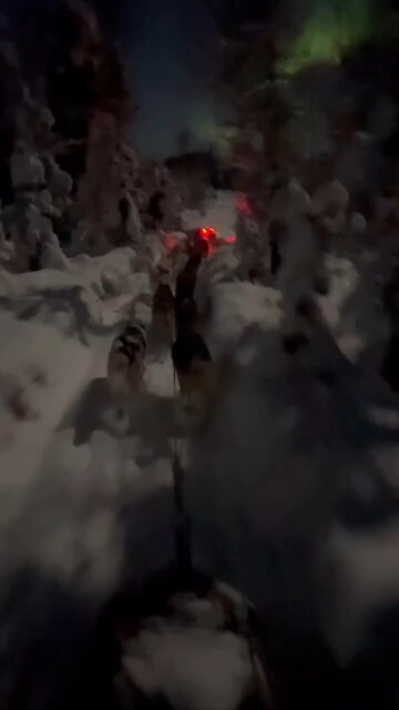 An Alaskan man captured what may be the most beautiful video of the month