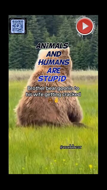 Animals and humans are stupid