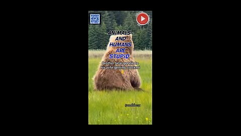 Animals and humans are stupid