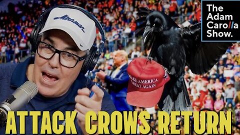 Man Trains Crows to Attack MAGA Hats + MLK Day Becomes Palestine Propaganda