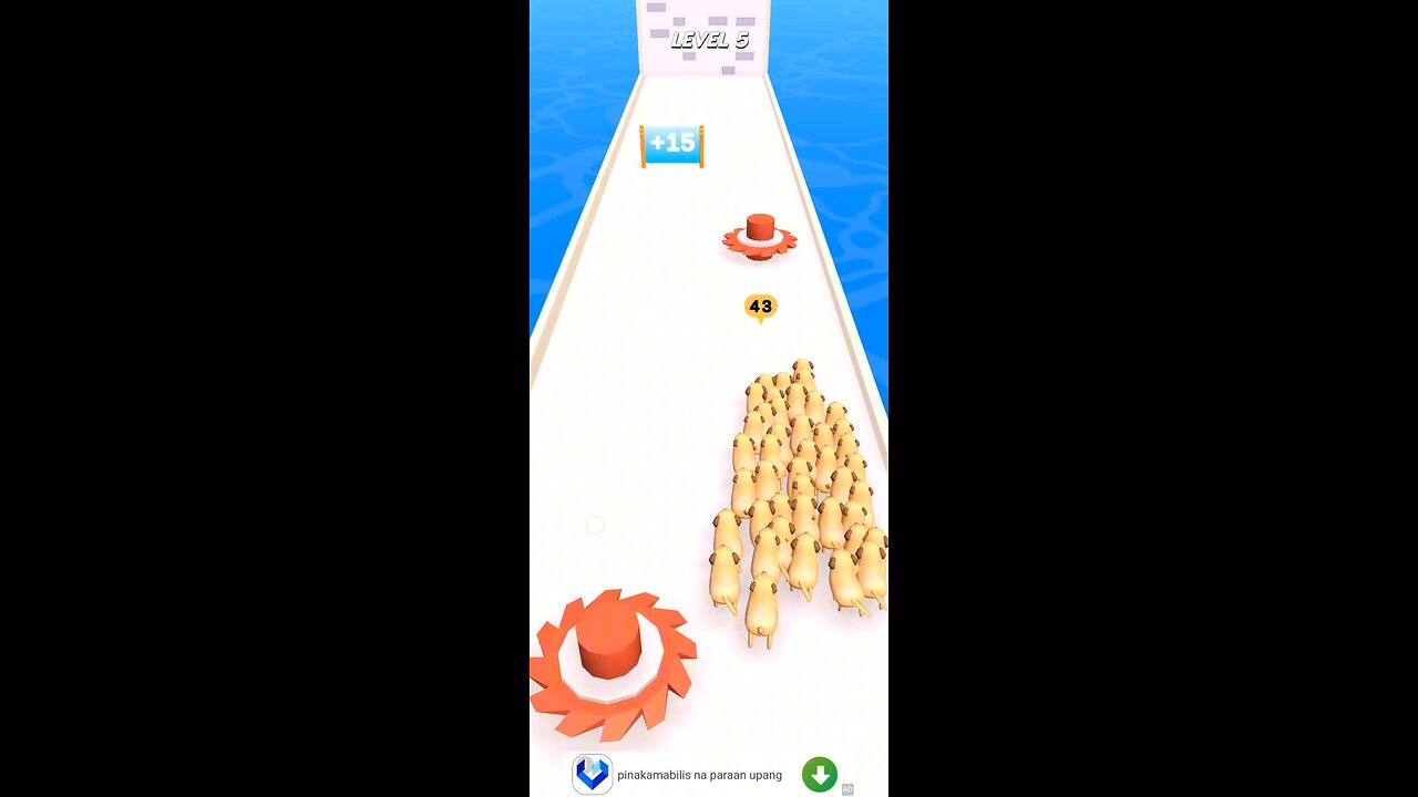 Pets Count Run Gameplay