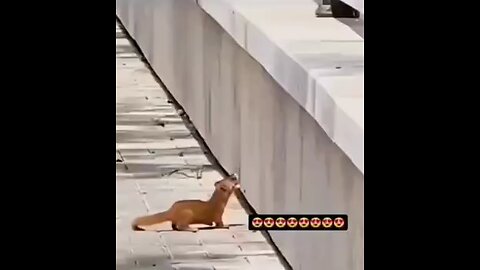 whenever get chance to Help someone please Help