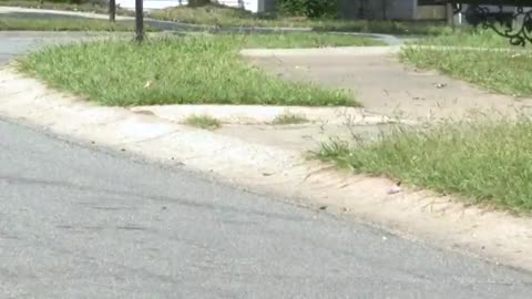 Male Charlotte school bus driver known as "Ms. Sharon" accused of multiple child sex crimes