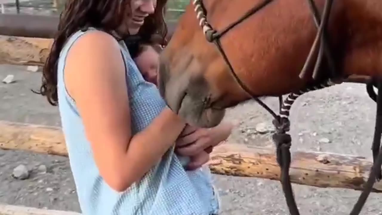 Horse and child love