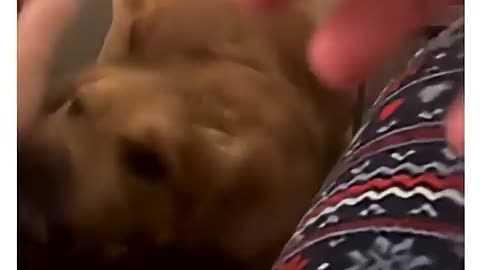 Viral: the instant switch 😭 #trending #funny #funnyvideo #viral #memes #love #fa