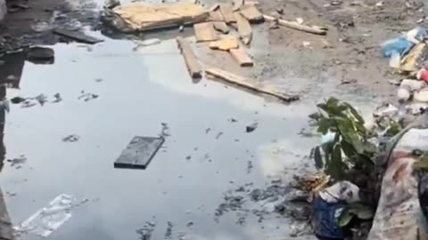 Food market in Ivory Coast.