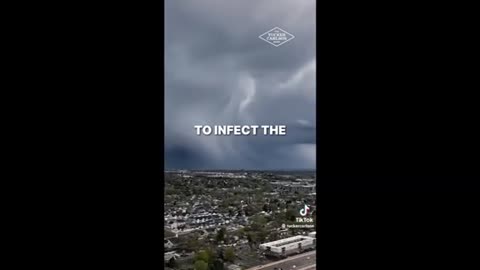 Pathogens in clouds ..