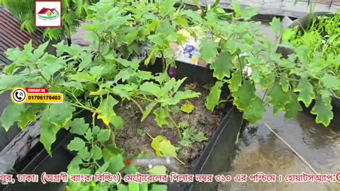 বৃষ্টি হলেও জিও ব্যাগে পানি আটকে থাকে না | Live Proof | Siraj Tech
