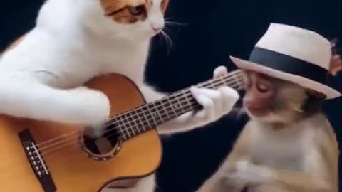 The Cat best Dance 2025