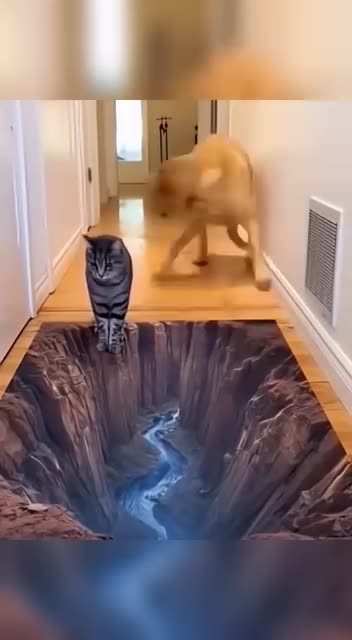 Funny 🤣😆 video of dogs and cats 🤣🌻🌸