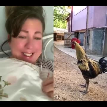 If you watch this video until the end and laugh