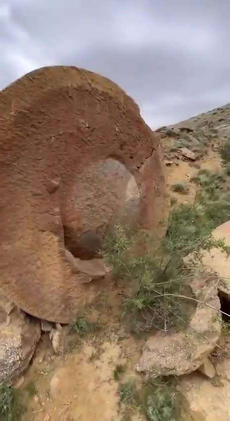 GIANT SEEDS IN MANGYSTAU KAZAKHSTAN