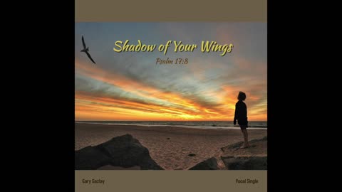 SHADOW OF YOUR WINGS – (Psalm 17:8)