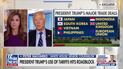 Peter Navarro fires back after court's tariff ruling: 'Weaponized partisan injustice'