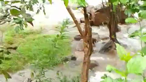At Sita Kund