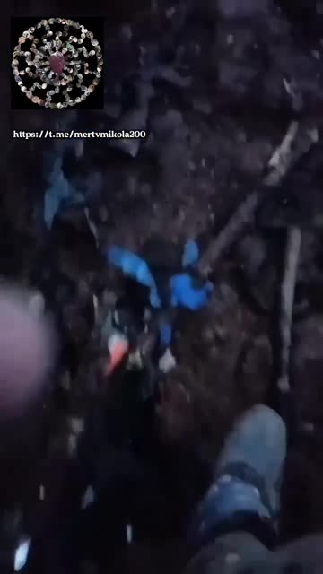 Pig slaughter in Chasov Yar