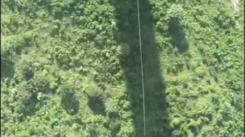 😮🔥 Daredevils Jump From 625-Meter-High Bridge! | FeedMyCuriosity