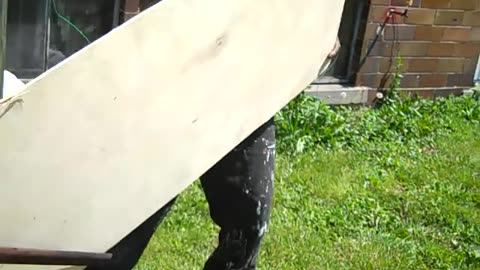 Bill cleaning up mess that Tims evicted tenants