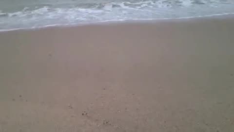 Filming the waves of the sea on a sunny day [Nature & Animals]
