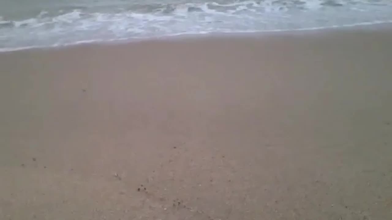 Filming the waves of the sea on a sunny day [Nature & Animals]