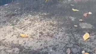 On your knees, slave!