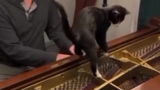 🤯🎶 You Won't Believe He Nailed Every Note IN KEY! | FunFM