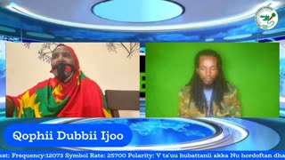 Qophii Dubbii Ijoo ONM-ABO Sadaasa 6-2025 itti dhiyaadhaa!